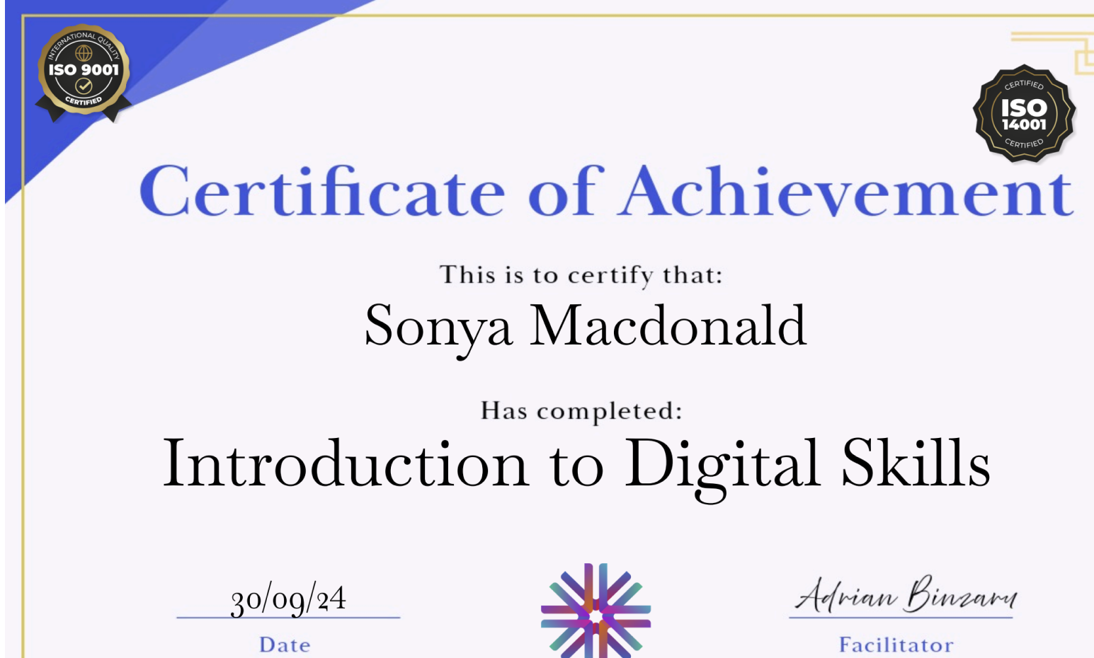 Professional course completion certificate with customizable design elements